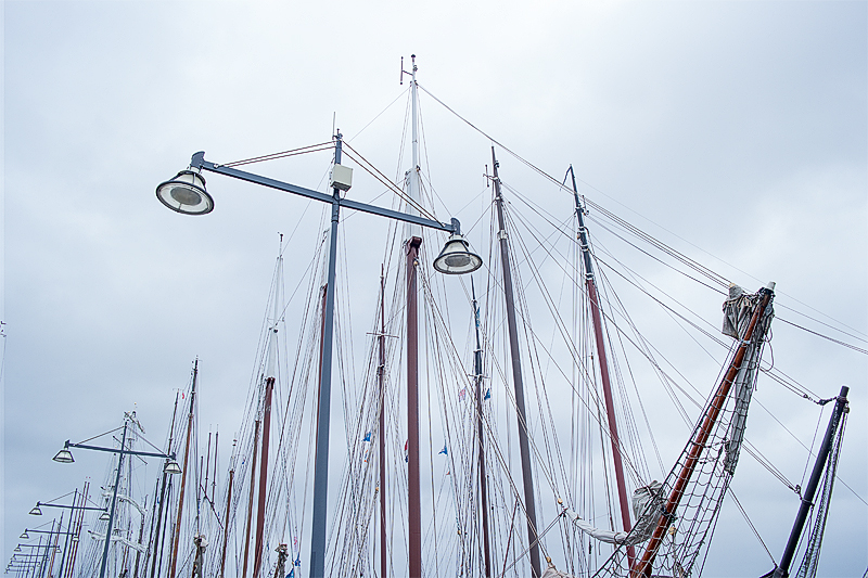 Holland 03 - 201520150329_03294109 als Smartobjekt-1 Kopie.jpg - Kleiner Ausflug in den Hafen von Medemblik - wo massenhaft alte Segelschiffe im Hafen lagen